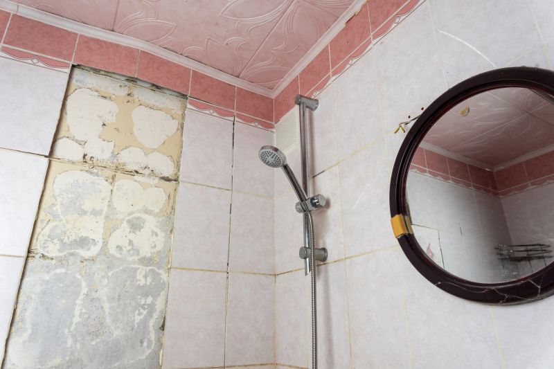 Emergency Shower Repair
